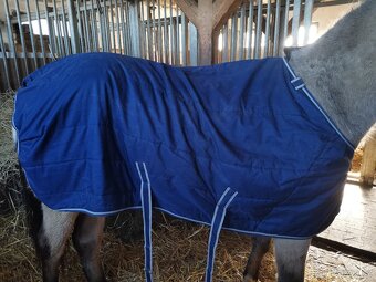 Bucas quilt SD 150g/135cm - 2