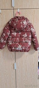 bunda Newbie 116 - 2