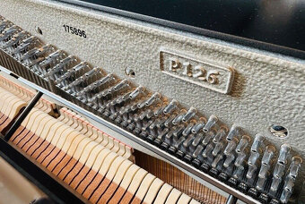 W.Hoffmann Model P126 Piano Mint (2019) Černá, Stříbrné apli - 2