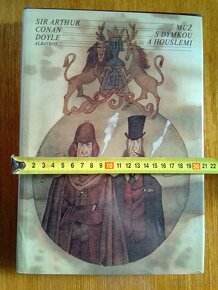 Muž s dýmkou a houslemi - 2