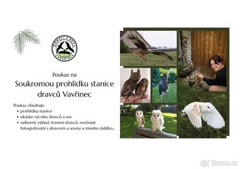 Dárkový poukaz záchranná stanice dravců. - 2