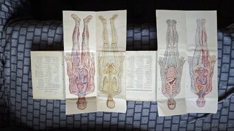 Přírodní léčba a domácí lékař - 2