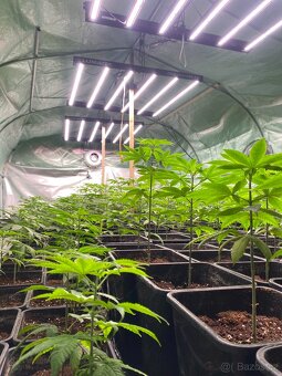 Lumatek Zeus Pro 600W 2.9 - 2