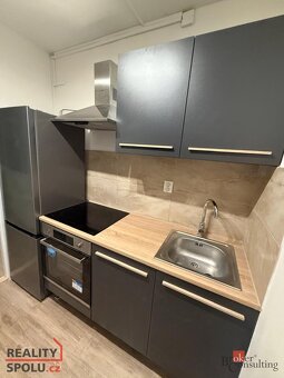 Pronájem, byty/1+1, 21 m2, K. H. Borovského 138/19, 43401 Mo - 2