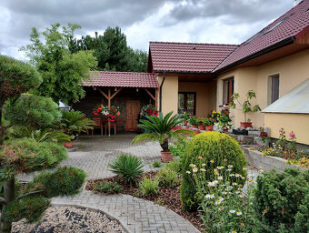 Podnájem,pronájem - 2