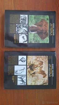 Jozef Wagner  AFRIKA - 2