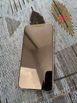 iPhone Xs Max - 2
