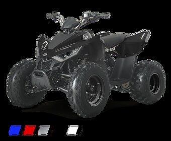 dětská čtyřkolka Linhai ATV 110 2x4 - 2