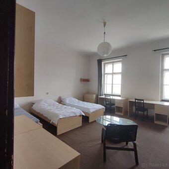 Pronájem pokoje, ulice Veveří, centrum, 30 m2 - 2