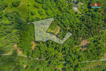 Prodej lesa, 6085 m², Tanvald - 2