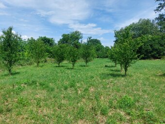 Prodej zahradních pozemků, celkem 5 961 m² , Rajhrad - 2