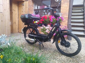 Piaggio ciao - 2