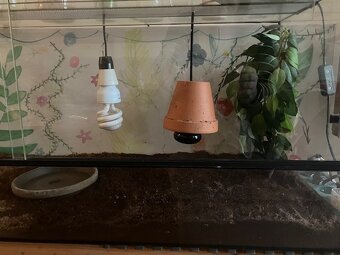 Terárium pro želvu 1m dlouhé - 2