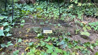 Automatická otáčecí grilovací souprava na 8 špízů – nerez - 2