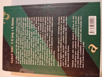 C.G.Jung R.Steiner - 2