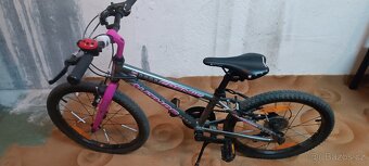 Kolo Author cosmic - 2