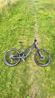 Canyon Torque - 2