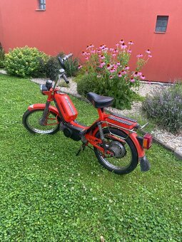 Babetta 210 Babeta - 2