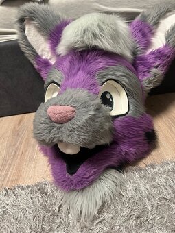 Fursuit - 2