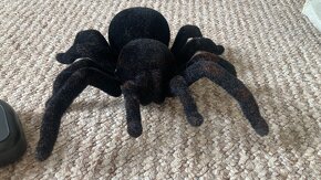 Děsivá tarantule - 2
