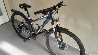 Nové dámské kolo - 2