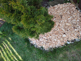 Mulčovací štěpka - 2