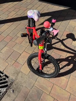 Kolo Core nipper 16” - 2