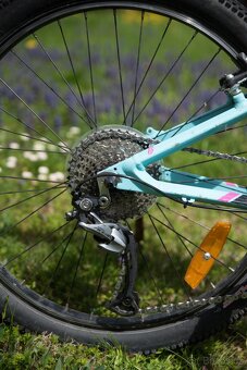 Orbea mx24 team - 2