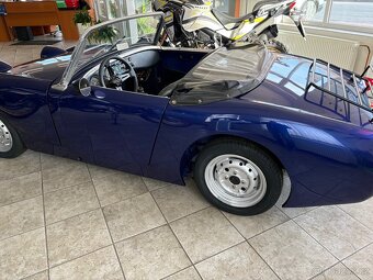 Austin Healey froggy - 2