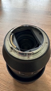 Panasonic Lumix S 70-300mm f/4.5-5.6 MACRO O.I.S. - 2