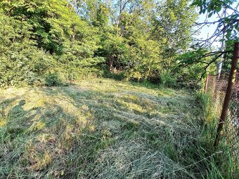 Ivančice okres Brno-venkov pronájem oplocené zahrady u lesa - 2