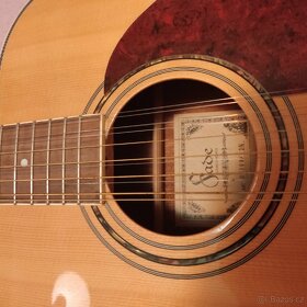 Kytara dvanáctistrunná Fade - 2