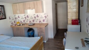 Pronájem bytu 1+kk - 2