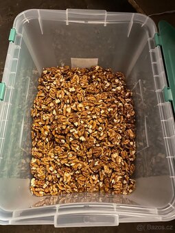 Vlašské ořechy loupané,sušené - 2