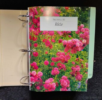 Zahrada pro radost - karty v pořadači - 2