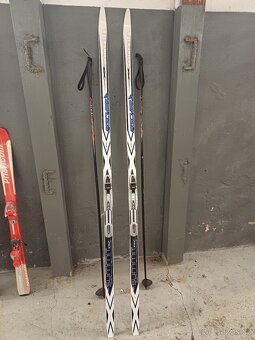 Běžky Fischer + boty - 2