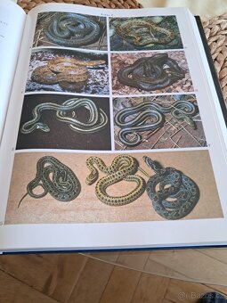 Odborná kniha pro chovatele hadů - 2