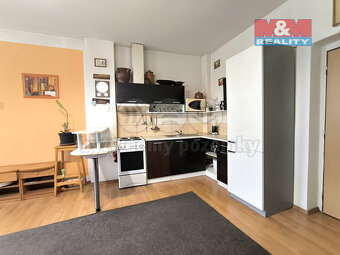Prodej rodinného domu, 249 m², Protivín, ul. Blanická - 2
