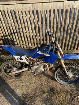 pitbike 125 pitbull - 2