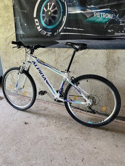 MTB Alpina - 2