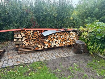 Palivové dřevo-Tvrdé - 2