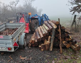 Palivové dřevo na prodej - 2