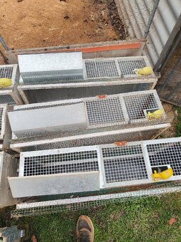 Klece pro křepelky - 2