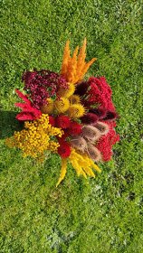 Barvená sušina - 2