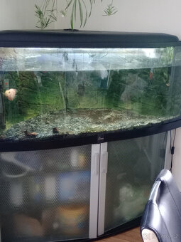 Prodám rohové akvárium 400l - 2