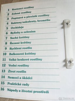 Pokojové rostliny - 2