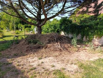 Bioodpad za odvoz - 2