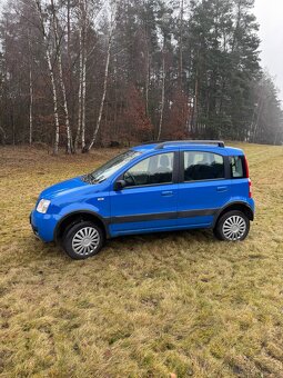 Fiat panda - 2