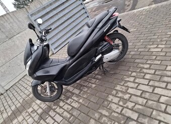 Dily Honda Pcx 10-13 - 2