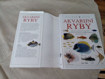 Akvarijní ryby - pouhým okem - 2